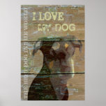 O melhor cão no modelo do poster do mundo