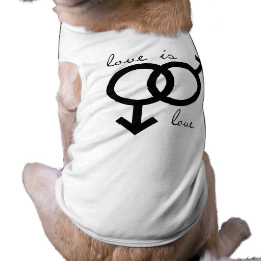 O mesmo sexo amor é amor (os homens) roupa para pet
