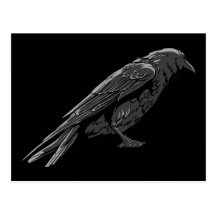 O pássaro dos corvos do ~ do corvo personaliza o m cartoes postais