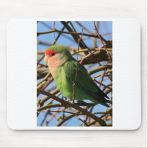 o pêssego enfrentou o lovebird mouse pad