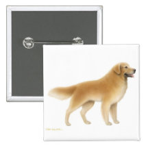 O Pin do golden retriever Boton