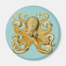 O polvo de Ernst Haeckel Imas