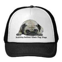 O Pug abraça o chapéu Bones