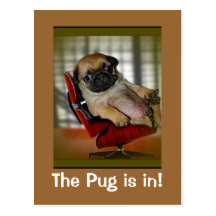 O Pug está dentro! Cartões Postais