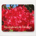 O rododendro jardina vermelho Rhodies do mousepad