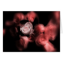O rosa entre rosas cartões
