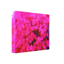 o rosa floresceu a imagem das canvas do jardim impressão em tela canvas