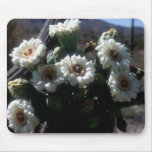 O Saguaro floresce Mousepad