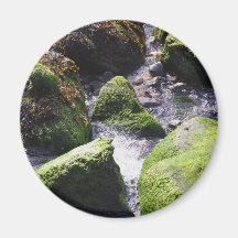 O verde balança o ímã imas