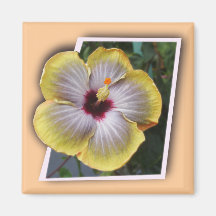 Obrigado aloha design do mahalo imãs