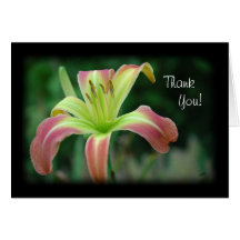 Obrigado rosado do hemerocallis você cartão
