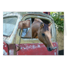 Obtenha um cavalo! cartão