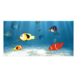 Oceanos dos peixes cartao com fotos personalizado