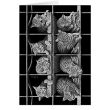 Octeto dos gatos cartoes