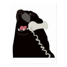 OLÁ! SIM ESTE É telefone do telefone do CÃO Cartão Postal