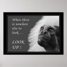 Olhe acima posters
