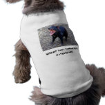 Olhe para fora!  Eu era um diabo tasmaniano Roupas Para Pets