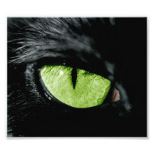 Olho de gato arte de fotos