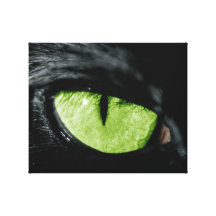 Olho de gato impressão de canvas envolvidas