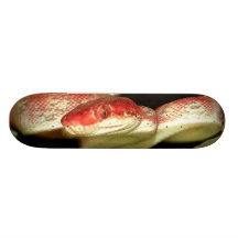 Olho do cobra Bro animal legal/meninos/presente Xm Skate