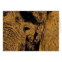 Olho do elefante cartão