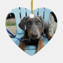 Olhos azuis do Doberman Enfeite Para Arvore De Natal