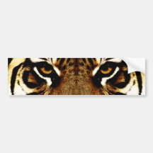 Olhos de um tigre adesivo