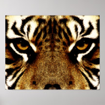 Olhos de um tigre posters
