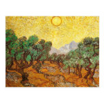 Oliveiras céu amarelo & Sun de Van Gogh (F710) Cartão Postal