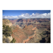 Opinião sul do Grand Canyon, arizona da borda, Arte De Fotos