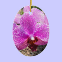 Ornamento cor-de-rosa da orquídea ornamentos