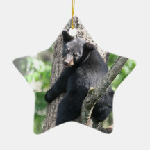ornamento do urso