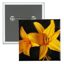Orquídea amarela pins