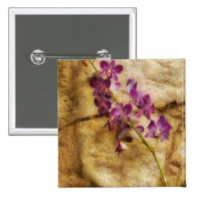 Orquídea - apenas esplêndida botons