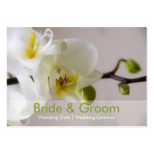 Orquídea branca • Cartão de visita do Web site do 