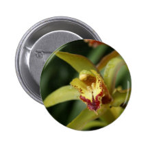 Orquídea de Madeira Pins