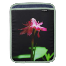 Orquídea exótica tropical bolsa de iPad