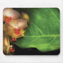 Orquídea - orquídeas de Vanda em repouso Mouse Pads