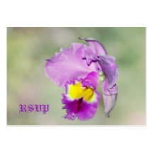 Orquídea tocada pelo deus para a mamã cartoes de visita