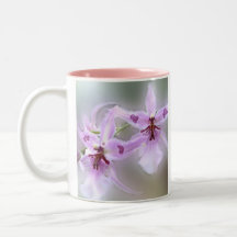 Orquídeas Caneca