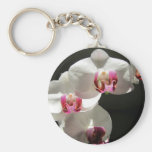 Orquídeas Chaveiro