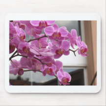 Orquídeas Mousepad