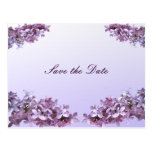 Os Lilacs salvar a data Cartão Postal