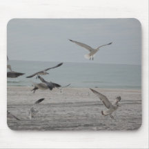 Os pássaros mousepads