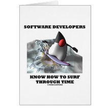 Os programadores de software sabem surfar com o te cartoes