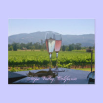 Os vinhedos de Napa Valley cartões postais
