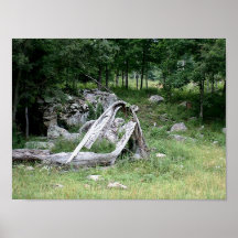 Ozarks 2 poster