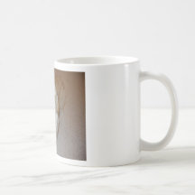 P1010520 CANECA