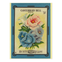 Pacote antigo da semente: Canterbury Bels Cartao Postal