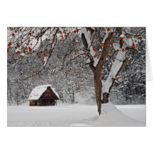 País das maravilhas do inverno cartão